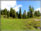 foto Panorama dal Monte Verena